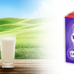 Mleko bez laktozy a weganizm: Czy to to samo? Wyjaśniamy!