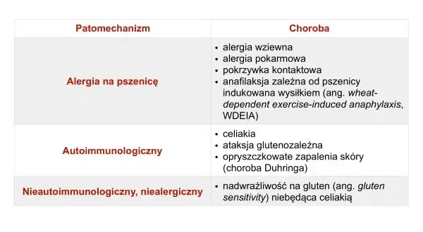 Nietolerancja glutenu u dorosłych: objawy, diagnoza i życie bez glutenu
