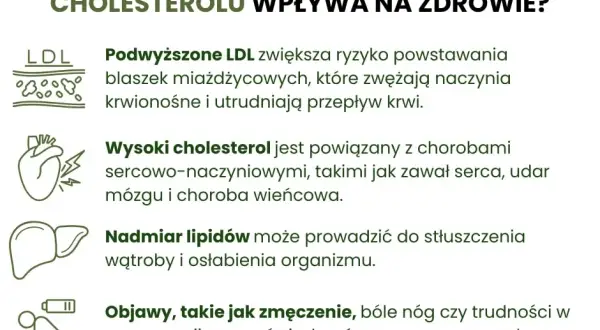 Jak poprawić cholesterol? Skuteczny plan dla zdrowego serca