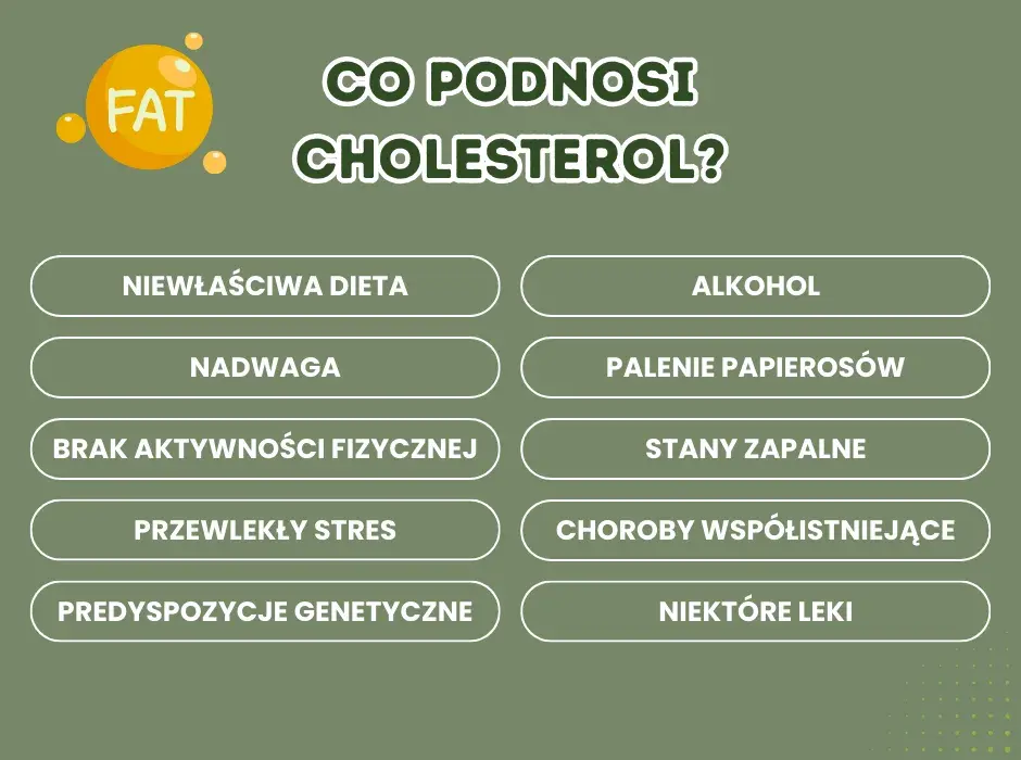 Jak podnieść cholesterol HDL? Dieta i styl życia dla zdrowego serca