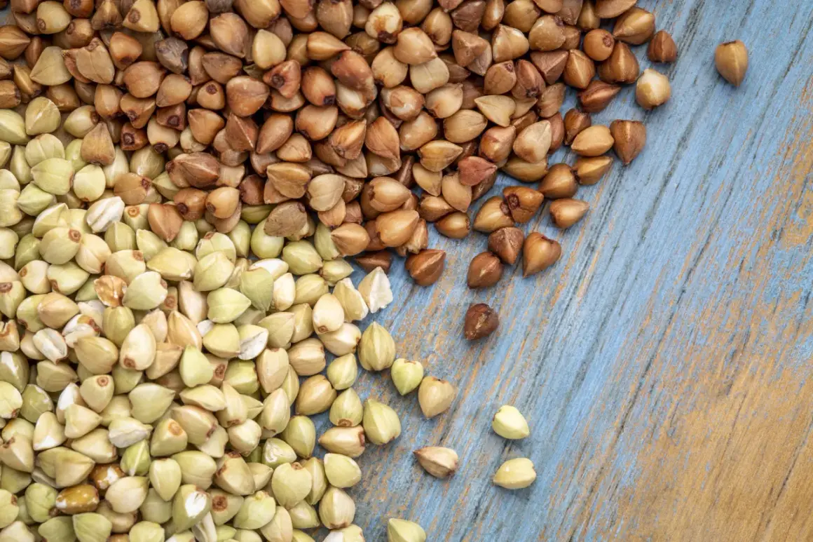 Czy gryka zawiera gluten? Ekspert radzi, jak kupować bez obaw