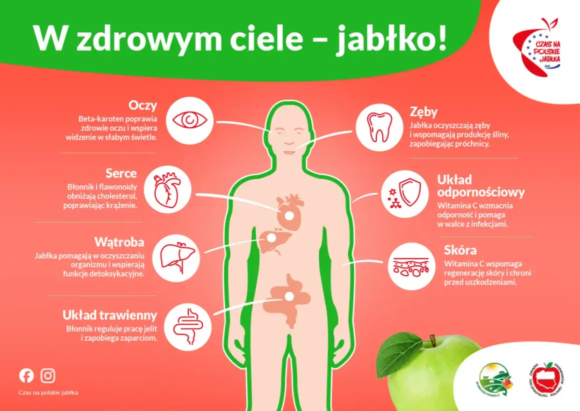 Czy jabłko tuczy? Obalamy mity i wspieramy odchudzanie!