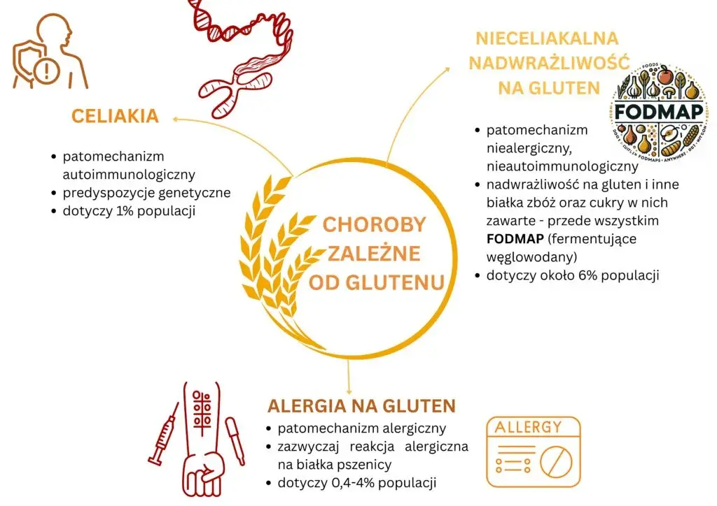 Celiakia, alergia, nadwrażliwość: Jakie badania na gluten wykonać?