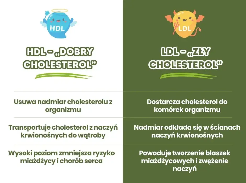 wysoki cholesterol czynniki ryzyka infografika