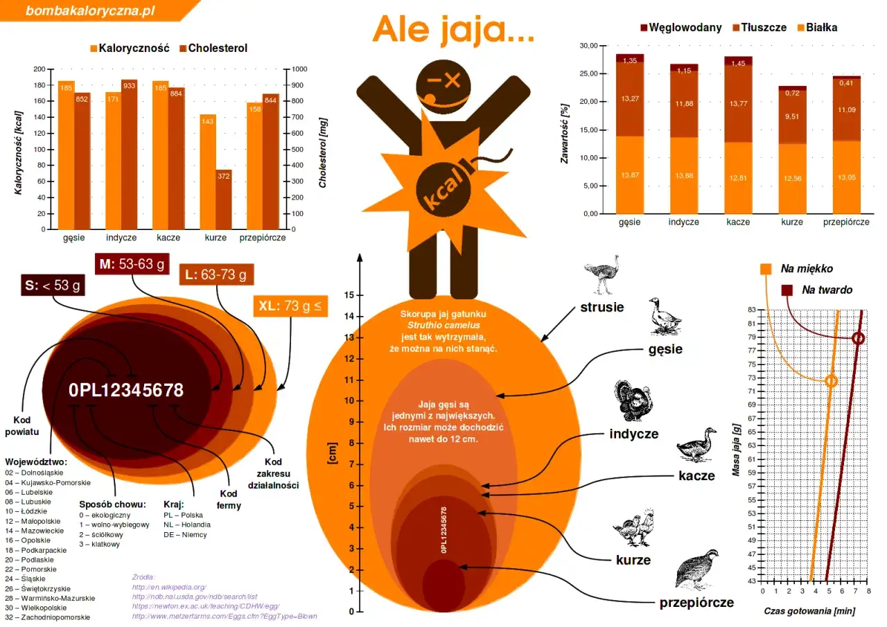 Wartości odżywcze jajka infografika