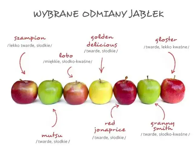 różne odmiany jabłek i ich właściwości