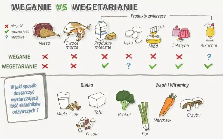 suplementy dieta wegańska niedobory