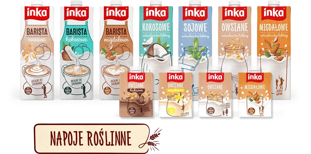 różne rodzaje napojów roślinnych w kartonach