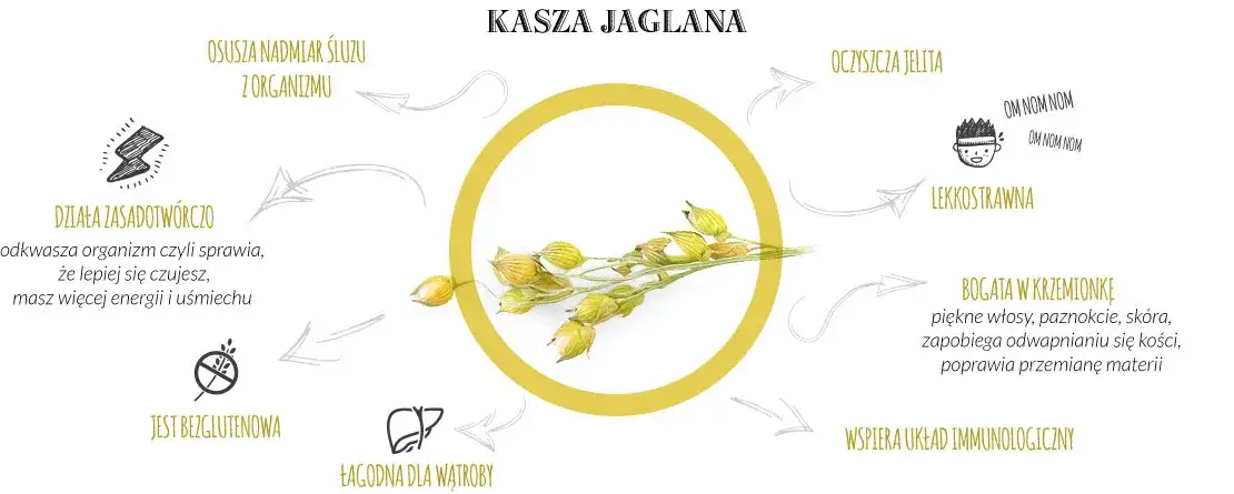 kasza jaglana wartości odżywcze infografika