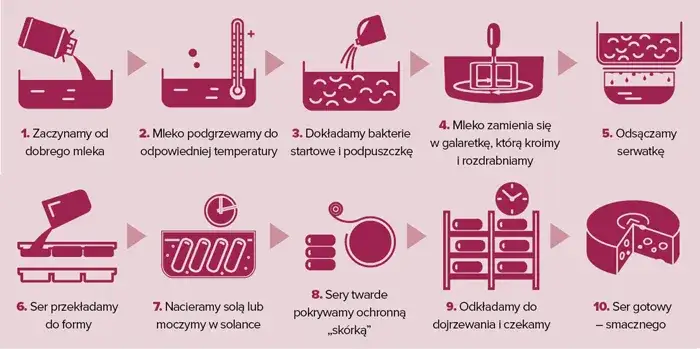 rodzaje podpuszczki w serach infografika